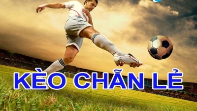 Kèo chẵn lẻ - Bí quyết dự đoán chính xác để dành chiến thắng